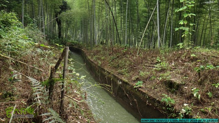 徒步雷公岩DSC02107