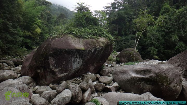 徒步雷公岩DSC02110