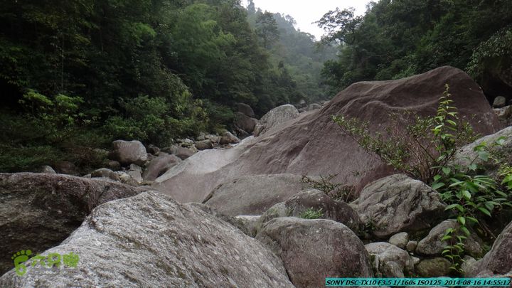 徒步雷公岩DSC02115