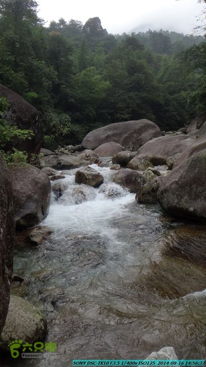 徒步雷公岩DSC02117