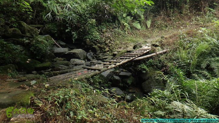 徒步雷公岩DSC02147