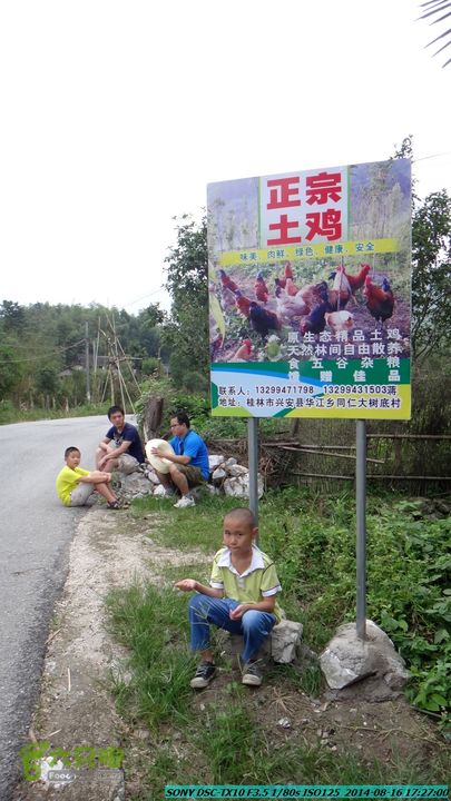 徒步雷公岩DSC02154