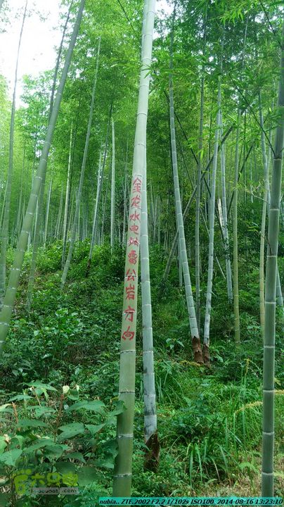 徒步雷公岩IMG_20140816_132309