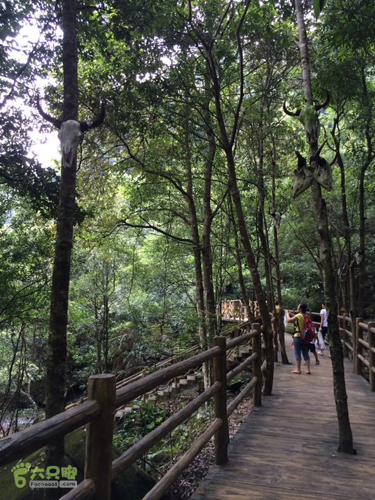 永泰青云山之巅－－－云顶天池草场－峡谷景区一日游记2014-08-17 13:53:38