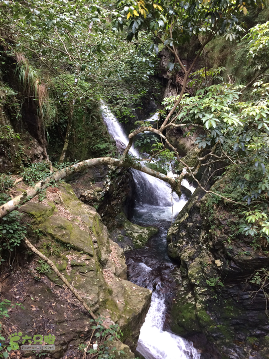 永泰青云山之巅－－－云顶天池草场－峡谷景区一日游记2014-08-17 13:37:43