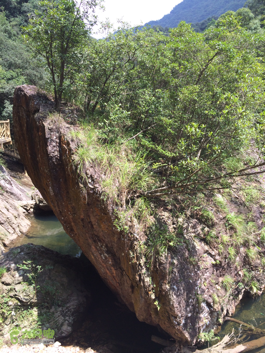 永泰青云山之巅－－－云顶天池草场－峡谷景区一日游记2014-08-17 13:02:04