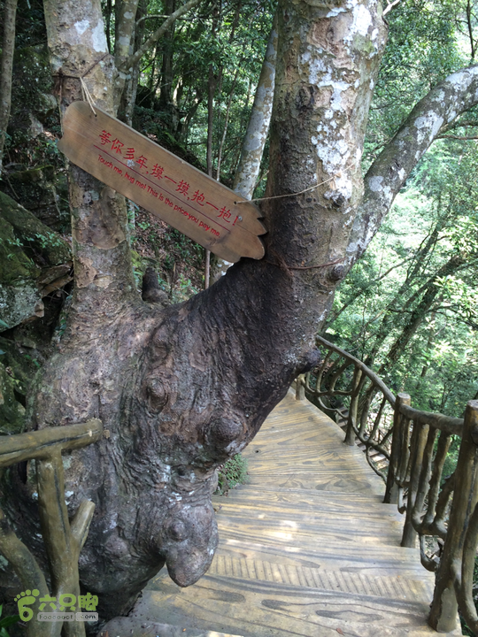 永泰青云山之巅－－－云顶天池草场－峡谷景区一日游记2014-08-17 11:56:15
