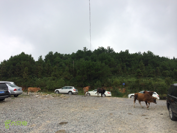 永泰青云山之巅－－－云顶天池草场－峡谷景区一日游记2014-08-17 15:25:41