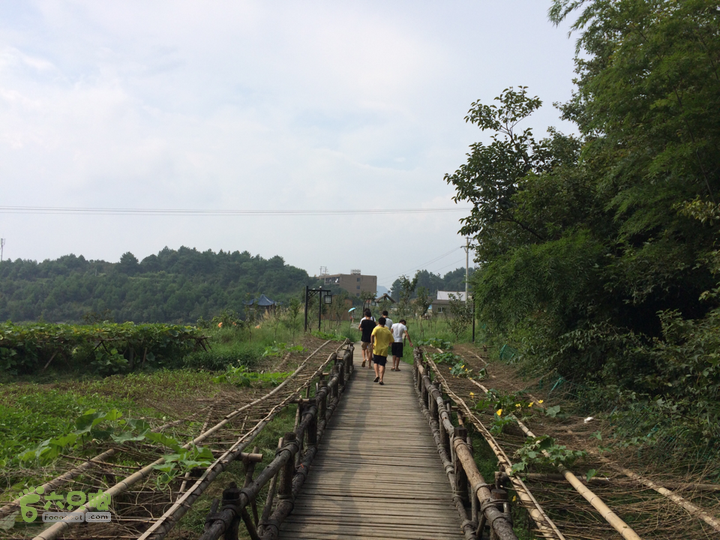 永泰青云山之巅－－－云顶天池草场－峡谷景区一日游记2014-08-17 15:14:30