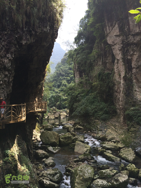 永泰青云山之巅－－－云顶天池草场－峡谷景区一日游记2014-08-17 13:46:02