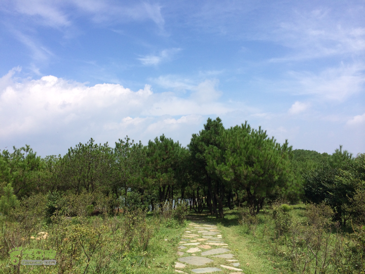 永泰青云山之巅－－－云顶天池草场－峡谷景区一日游记2014-08-17 10:35:36
