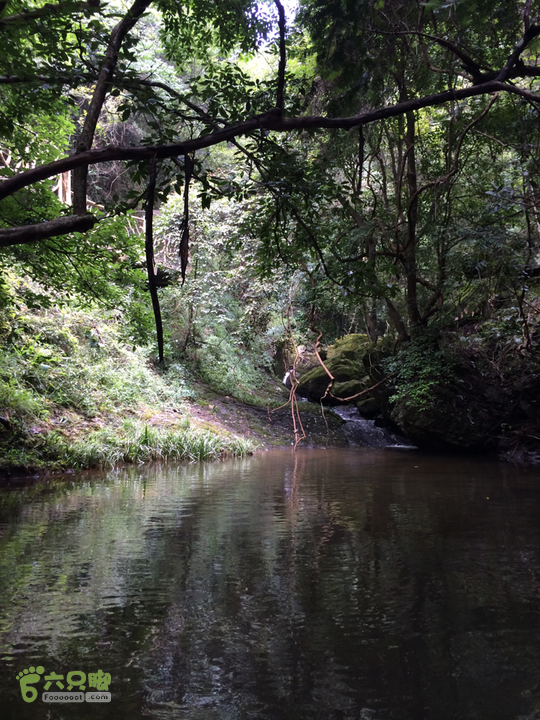 永泰青云山之巅－－－云顶天池草场－峡谷景区一日游记2014-08-17 11:39:11