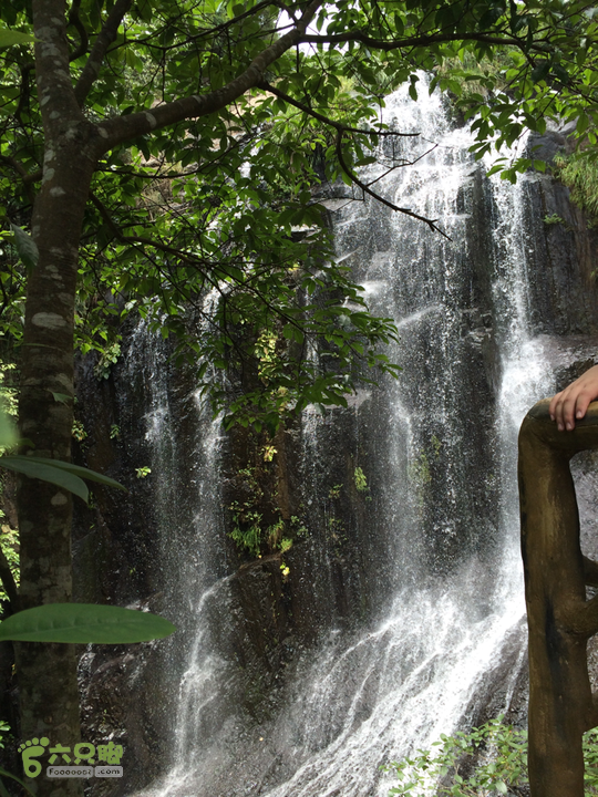 永泰青云山之巅－－－云顶天池草场－峡谷景区一日游记2014-08-17 11:15:59