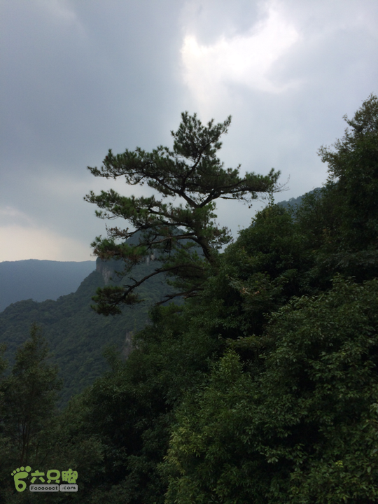 永泰青云山之巅－－－云顶天池草场－峡谷景区一日游记2014-08-17 14:31:41