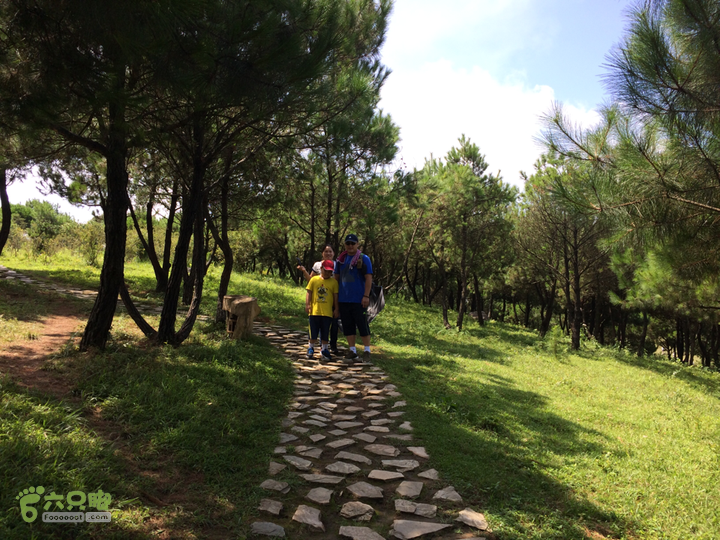 永泰青云山之巅－－－云顶天池草场－峡谷景区一日游记2014-08-17 10:36:25