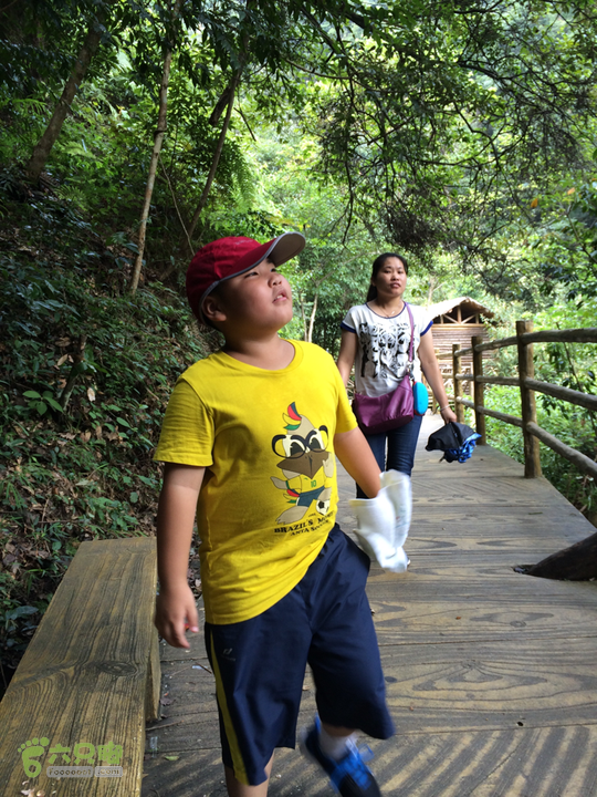 永泰青云山之巅－－－云顶天池草场－峡谷景区一日游记2014-08-17 12:21:18
