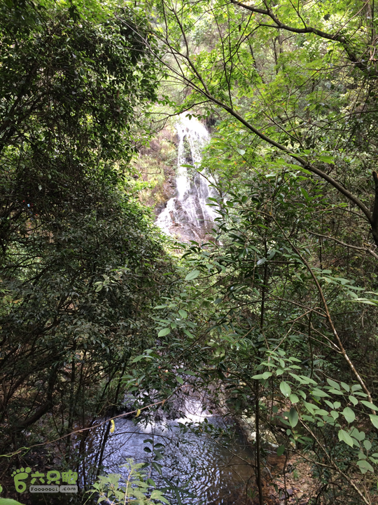 永泰青云山之巅－－－云顶天池草场－峡谷景区一日游记2014-08-17 11:50:32