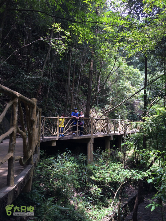 永泰青云山之巅－－－云顶天池草场－峡谷景区一日游记2014-08-17 11:38:21