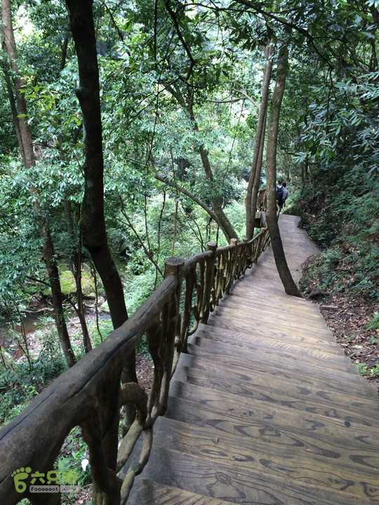 永泰青云山之巅－－－云顶天池草场－峡谷景区一日游记2014-08-17 11:36:26