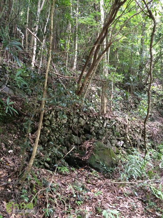 永泰青云山之巅－－－云顶天池草场－峡谷景区一日游记2014-08-17 13:31:06
