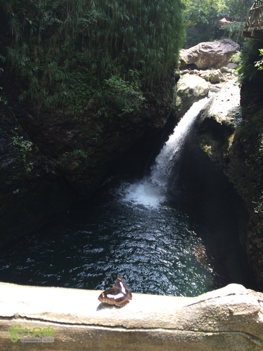 永泰青云山之巅－－－云顶天池草场－峡谷景区一日游记2014-08-17 13:34:19