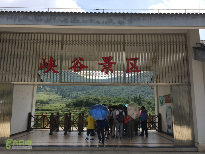 永泰青云山之巅－－－云顶天池草场－峡谷景区一日游记2014-08-17 11:02:24