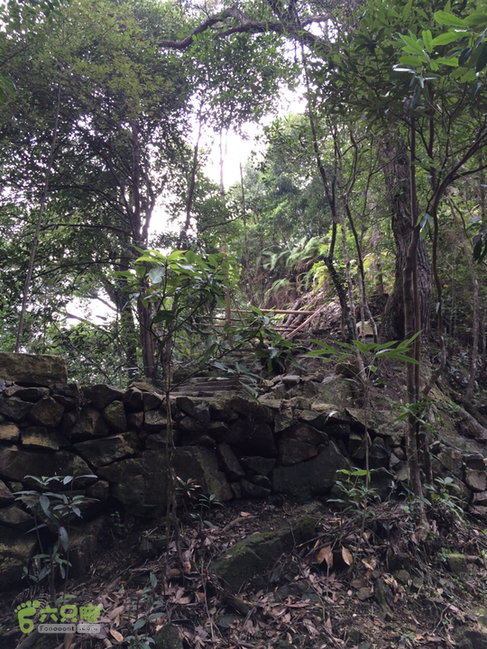 永泰青云山之巅－－－云顶天池草场－峡谷景区一日游记2014-08-17 11:54:49