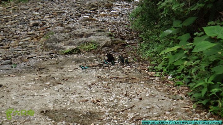 徒步雷公岩DSC02073