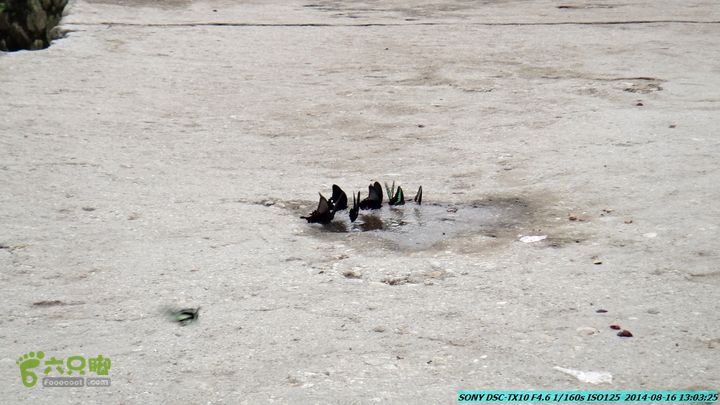 徒步雷公岩DSC02076