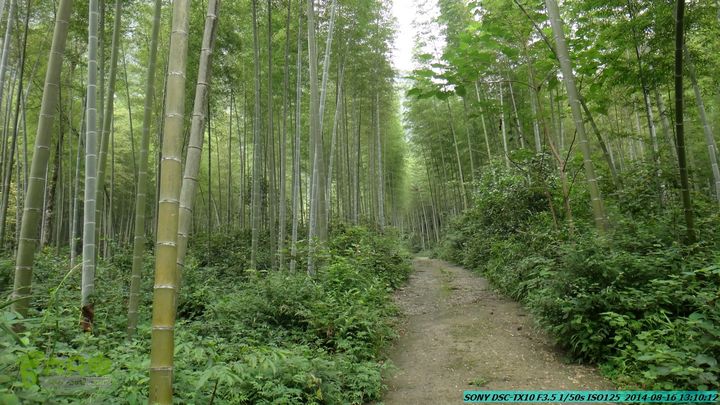 徒步雷公岩DSC02077