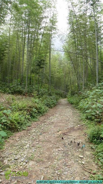 徒步雷公岩DSC02084