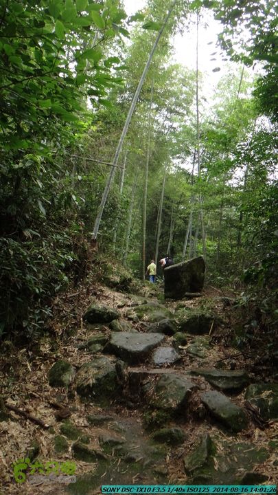 徒步雷公岩DSC02099