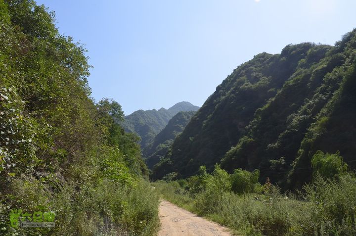 骑行骆峪dsc2547