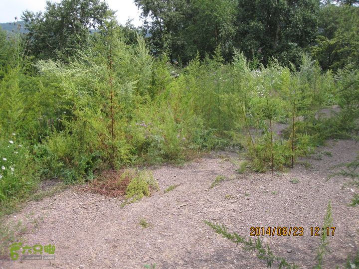 20140823东湖林-通州峪-莲花坑-双龙峡-火村口自西向东回看通州峪杏树台莲花坑三岔口