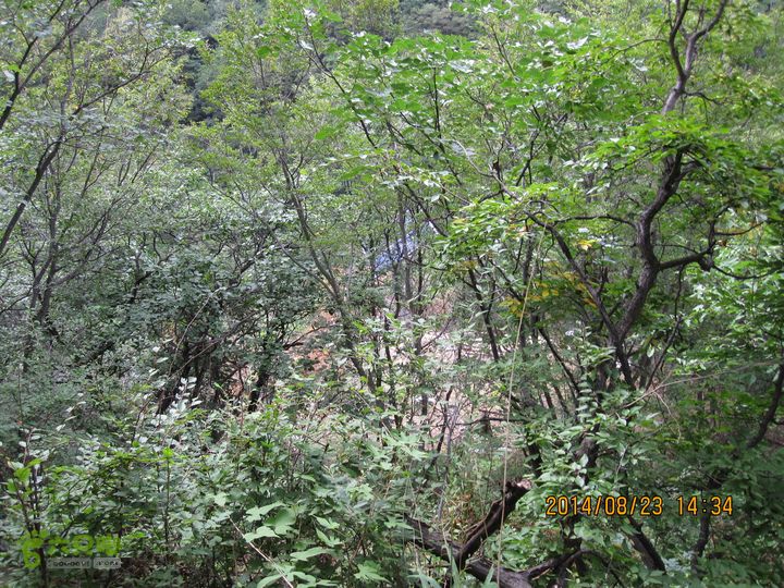 20140823东湖林-通州峪-莲花坑-双龙峡-火村口岔口西侧有个新修太阳能板架子【三柱、两板】