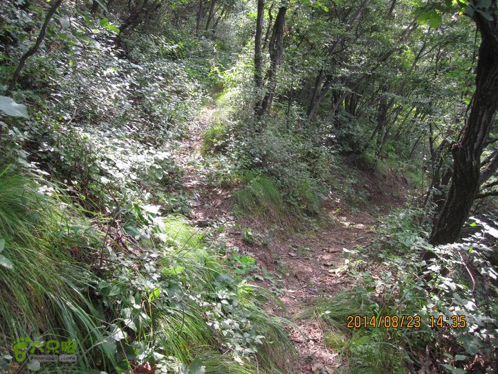 20140823东湖林-通州峪-莲花坑-双龙峡-火村口第二瀑布东南上方的一个三岔口