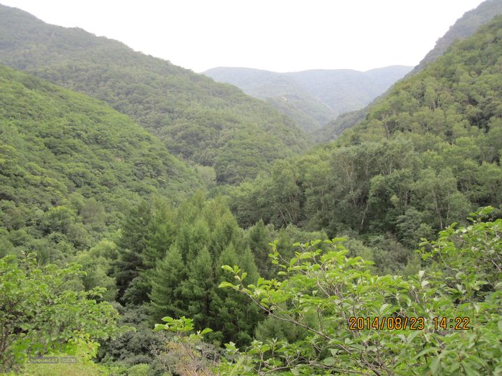 20140823东湖林-通州峪-莲花坑-双龙峡-火村口第二瀑布上方向东南回看过来山沟