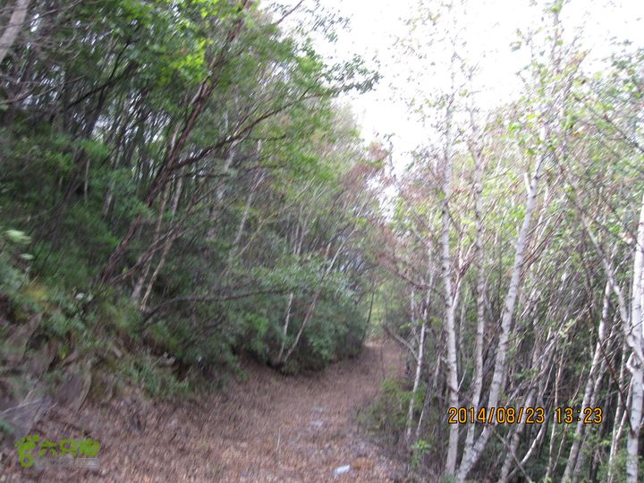 20140823东湖林-通州峪-莲花坑-双龙峡-火村口自莲花坑去往双龙峡防火道很短，很快又要走小路