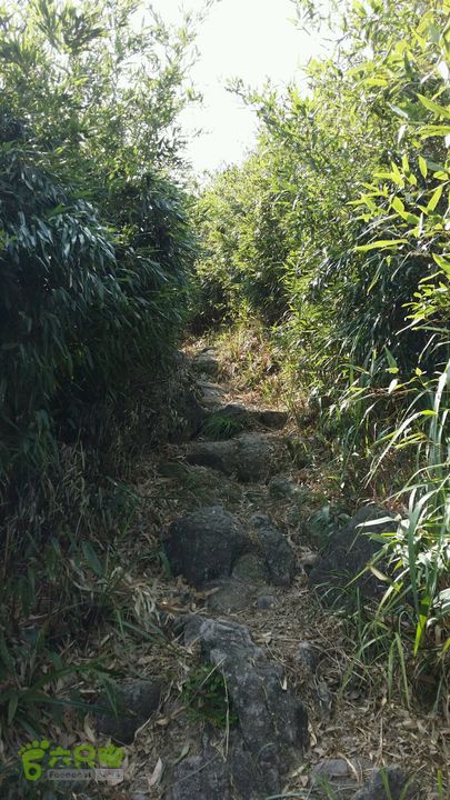 惠州 罗浮山 索道爬山2014-08-30 14:27:11