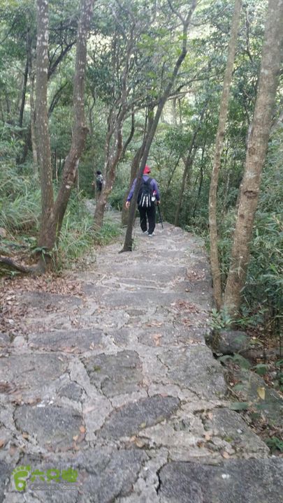 惠州 罗浮山 索道爬山2014-08-30 16:30:28