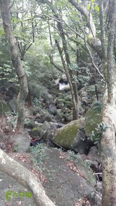 惠州 罗浮山 索道爬山2014-08-30 16:32:05