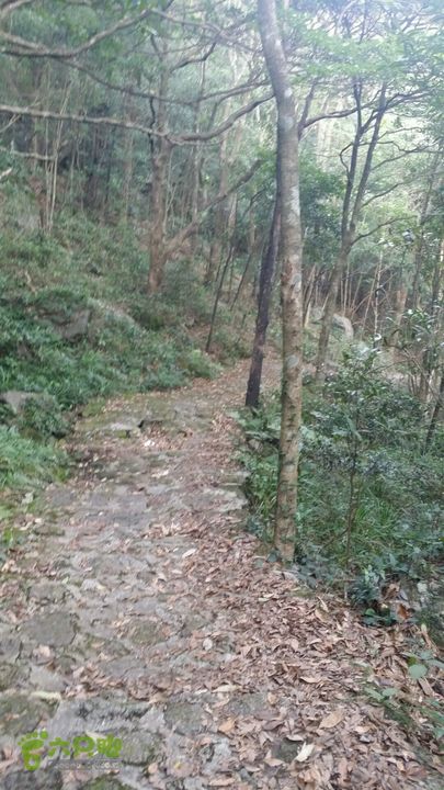 惠州 罗浮山 索道爬山2014-08-30 16:39:13