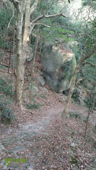 惠州 罗浮山 索道爬山2014-08-30 16:43:24