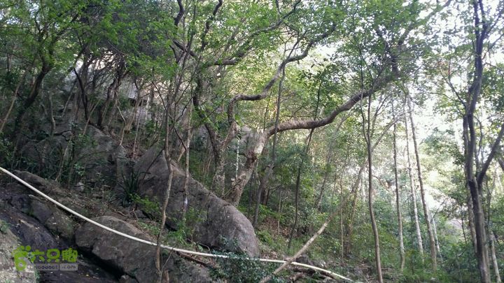 惠州 罗浮山 索道爬山2014-08-30 16:49:35