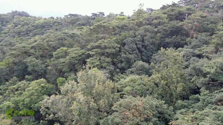 惠州 罗浮山 索道爬山2014-08-30 17:59:53