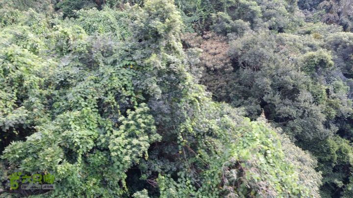 惠州 罗浮山 索道爬山2014-08-30 18:06:36