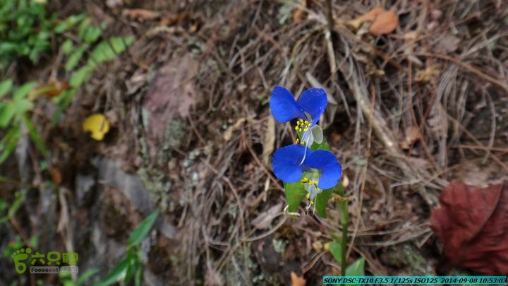 中秋尧山徒步游-20140908DSC02234