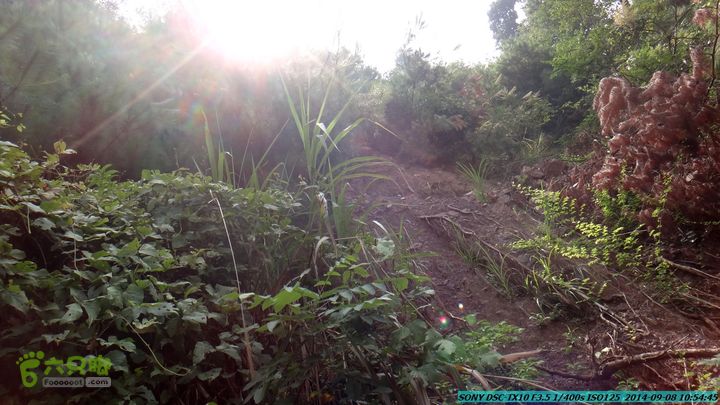 中秋尧山徒步游-20140908DSC02238
