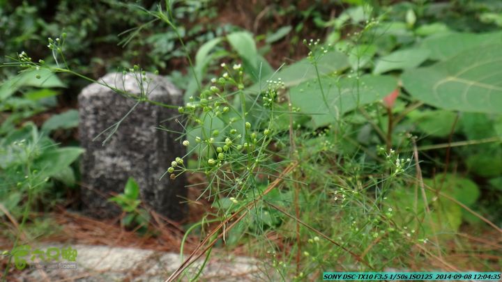 中秋尧山徒步游-20140908DSC02256
