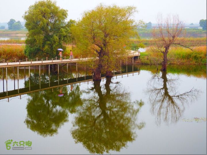 辽河七星湿地公园IMG_5544